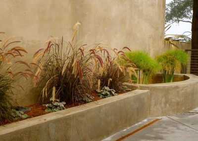 Canyon Home Patio – Moraga, CA