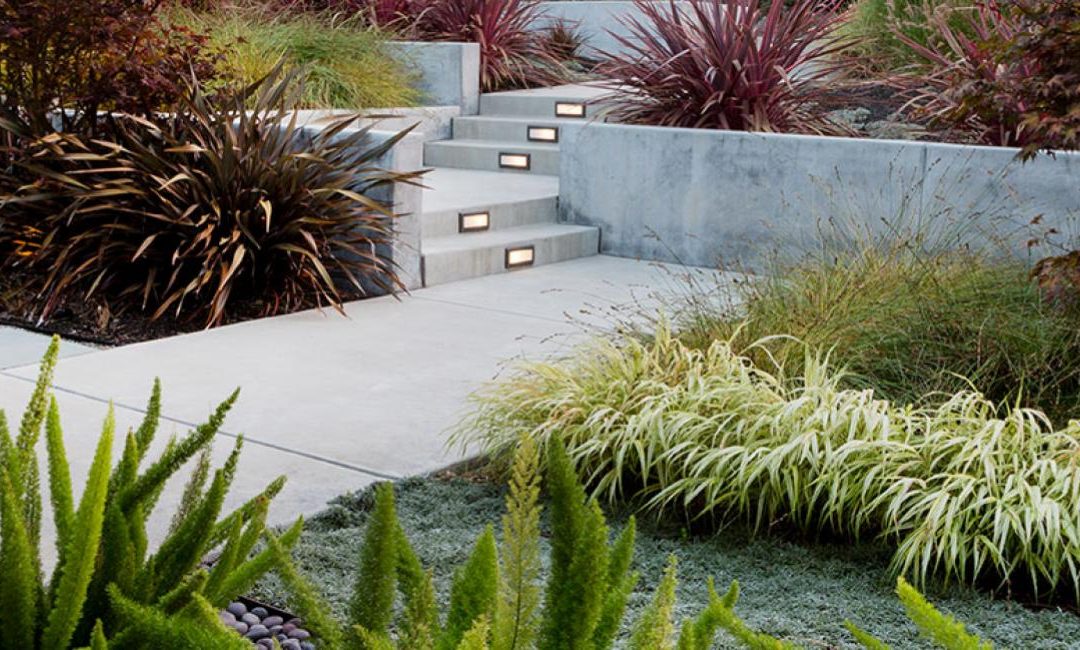 Modern Dry Garden – Walnut Creek, CA