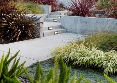 Modern Dry Garden – Walnut Creek, CA