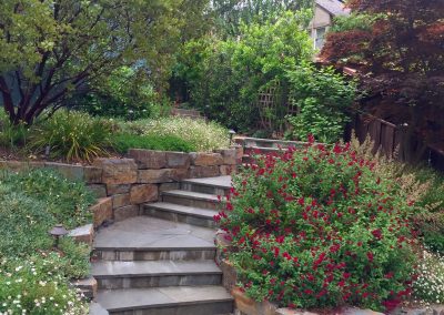 Native Garden Makeover – Piedmont, CA